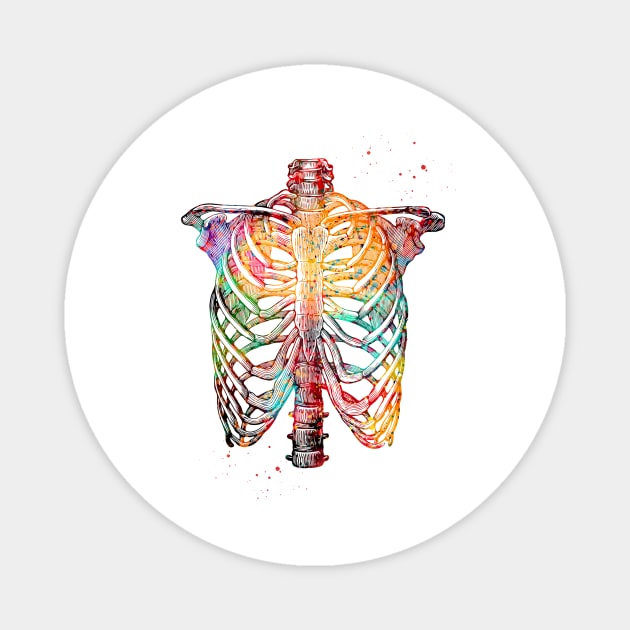 Rib Cage Magnet by erzebeth